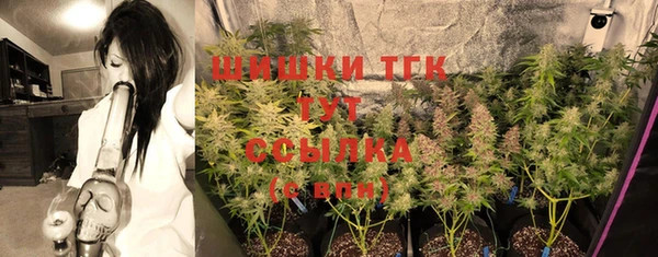 эйфоретик Белокуриха