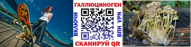 Псилоцибиновые грибы Psilocybine cubensis  Купить закладки  Хасавюрт 